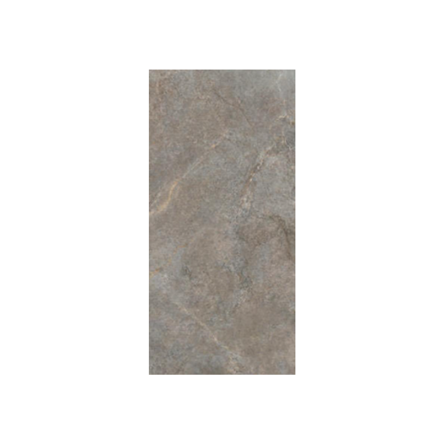 Anthology/Anthea - Earth is a rectangular gray stone tile with a textured surface and subtle color variations, featuring faint lines and natural patterns throughout. The tile is set against a plain white background.