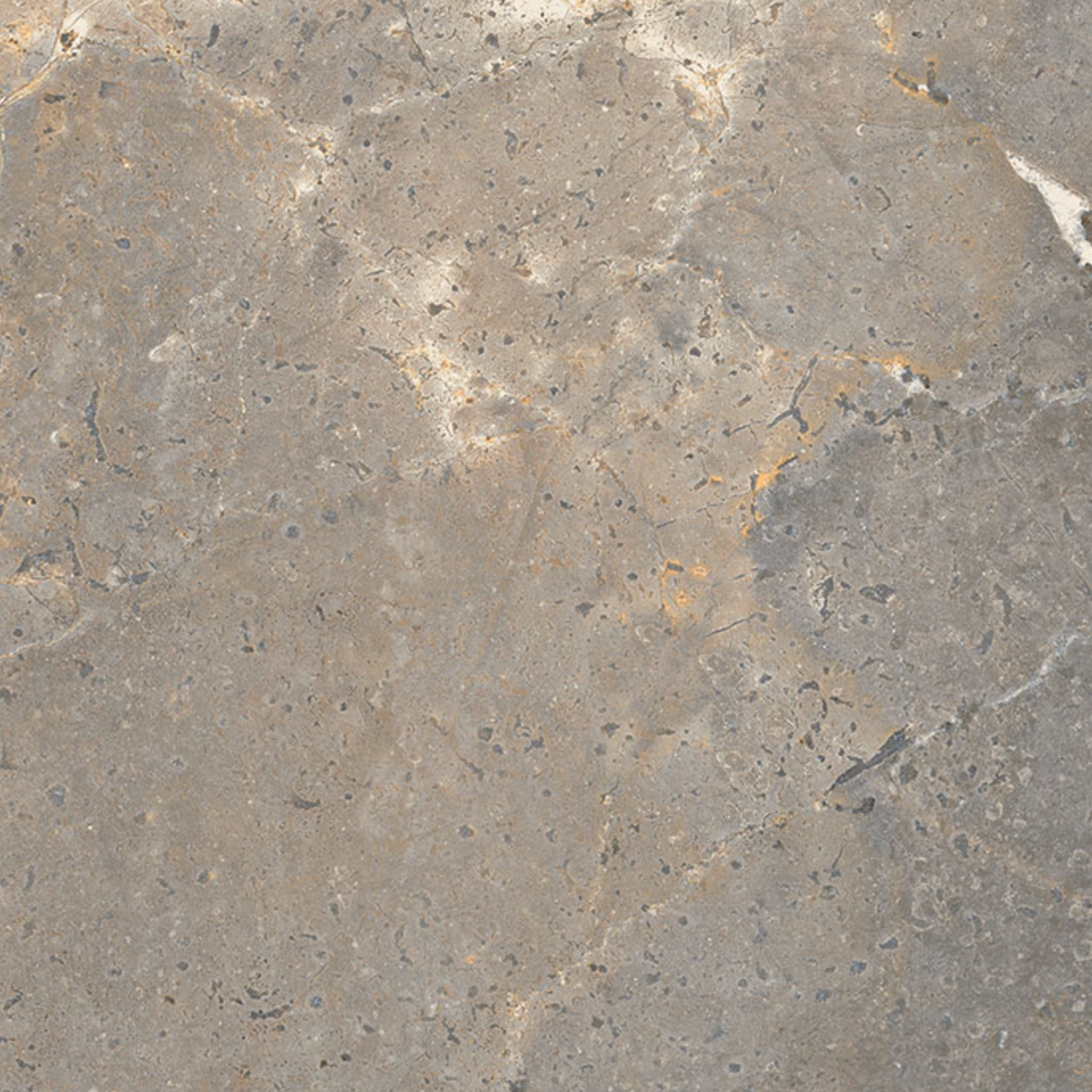 Anthology/Anthea - Earth features a gray stone surface with subtle beige and gold veins, small speckles, and an uneven texture that closely resembles natural marble or limestone.