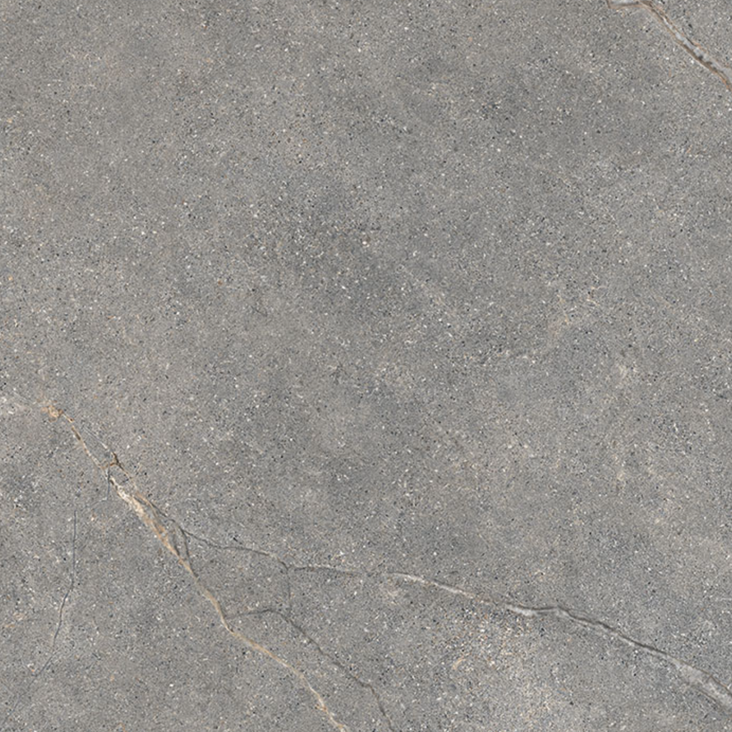 A close-up of Anthology/Anthea - Gray shows a grey stone surface featuring subtle speckles and thin, light-colored veins running across it.