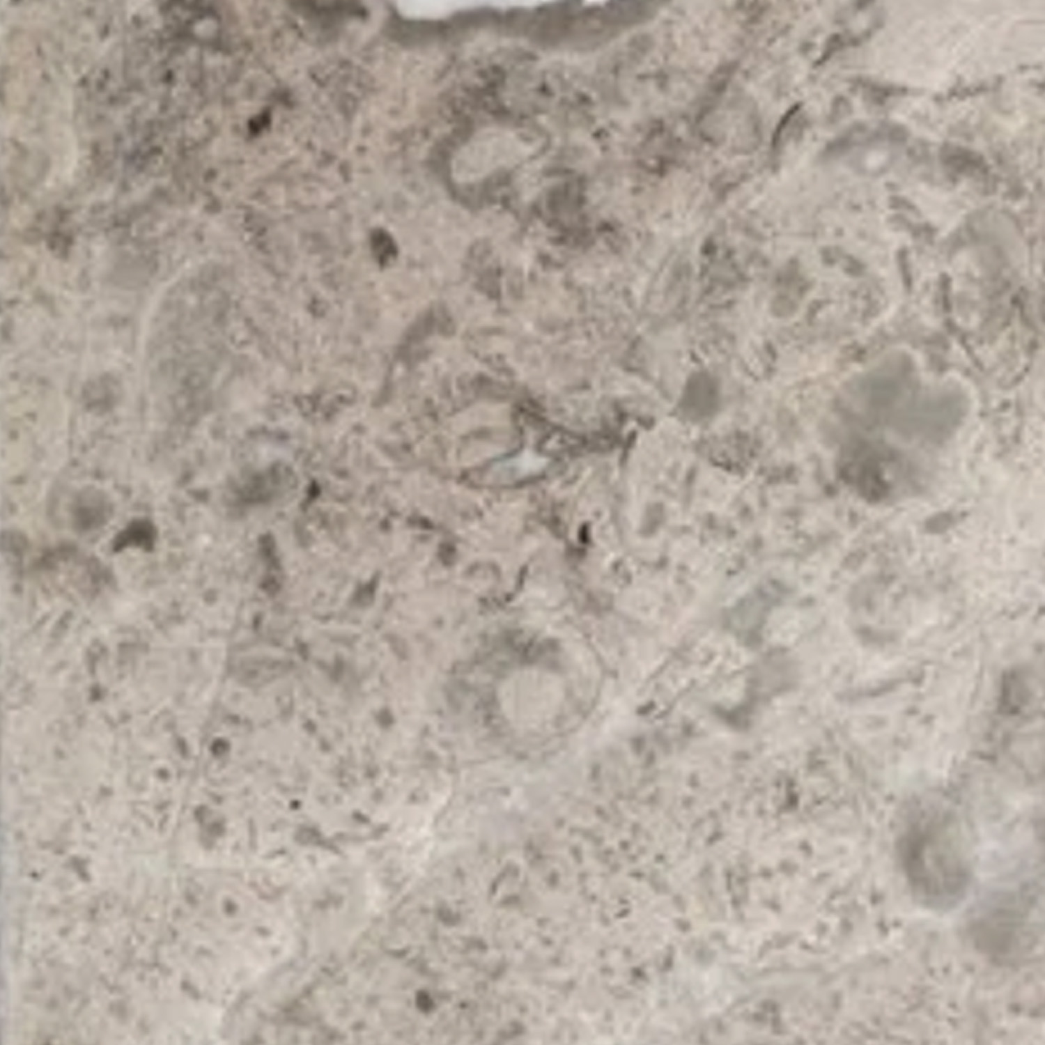 Close-up of the Bath Accessories (Corner Shelf) in Sage Gray, featuring a textured stone surface with small holes, faint circular patterns, and natural irregularities.