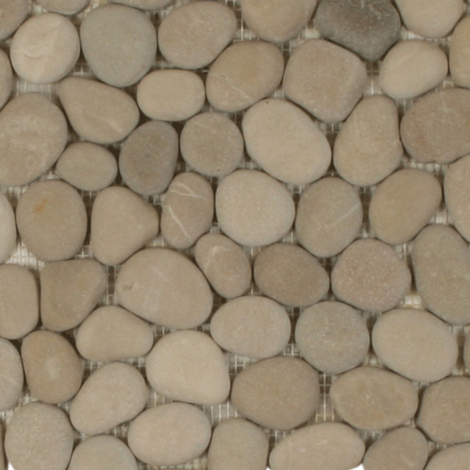 A close-up view of the Botany Bay - Khaki Sliced mosaic surface, featuring smooth, oval beige stones arranged tightly together with visible grout lines in between.