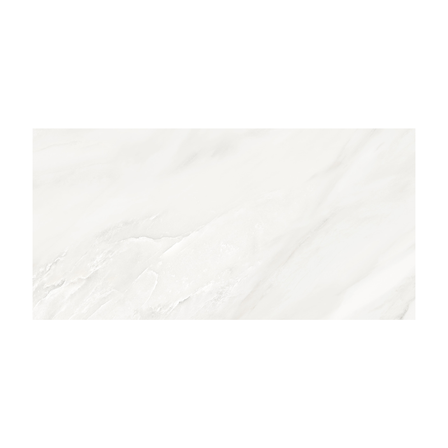 Classic Boutique - Delicato Bianco features a rectangular white marble tile with subtle gray veining and a smooth, polished surface on a plain white background.