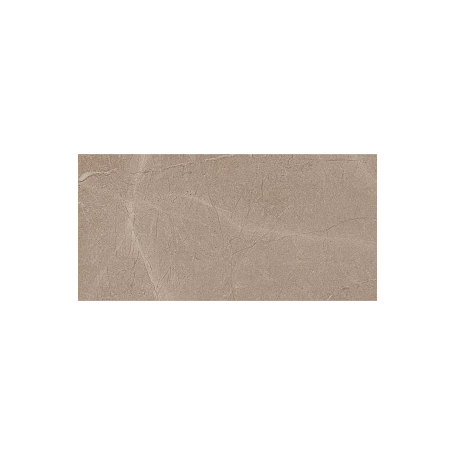 Eon - Corinthian Beige, a rectangular light brown tile featuring subtle white veining and a smooth matte finish, is centered on a white background.