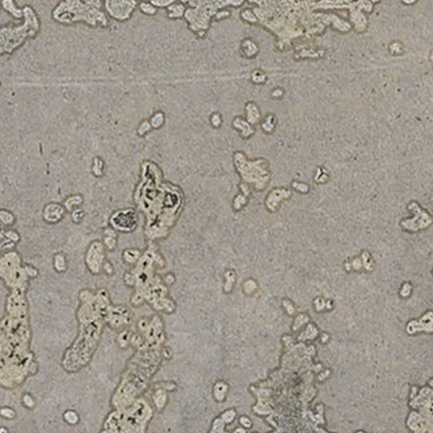 Grunge - Grey features a gray concrete surface accented by irregular white patches and spots, creating a weathered, worn effect. Its rough texture is characterized by scattered discolorations and uneven marks throughout.