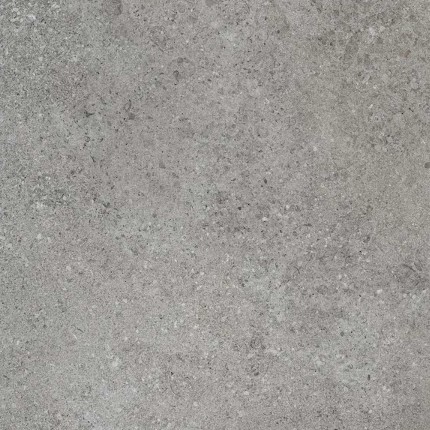 Ikonite - Grey features a gray concrete surface with a rough, speckled texture and subtle variations in color and pattern.