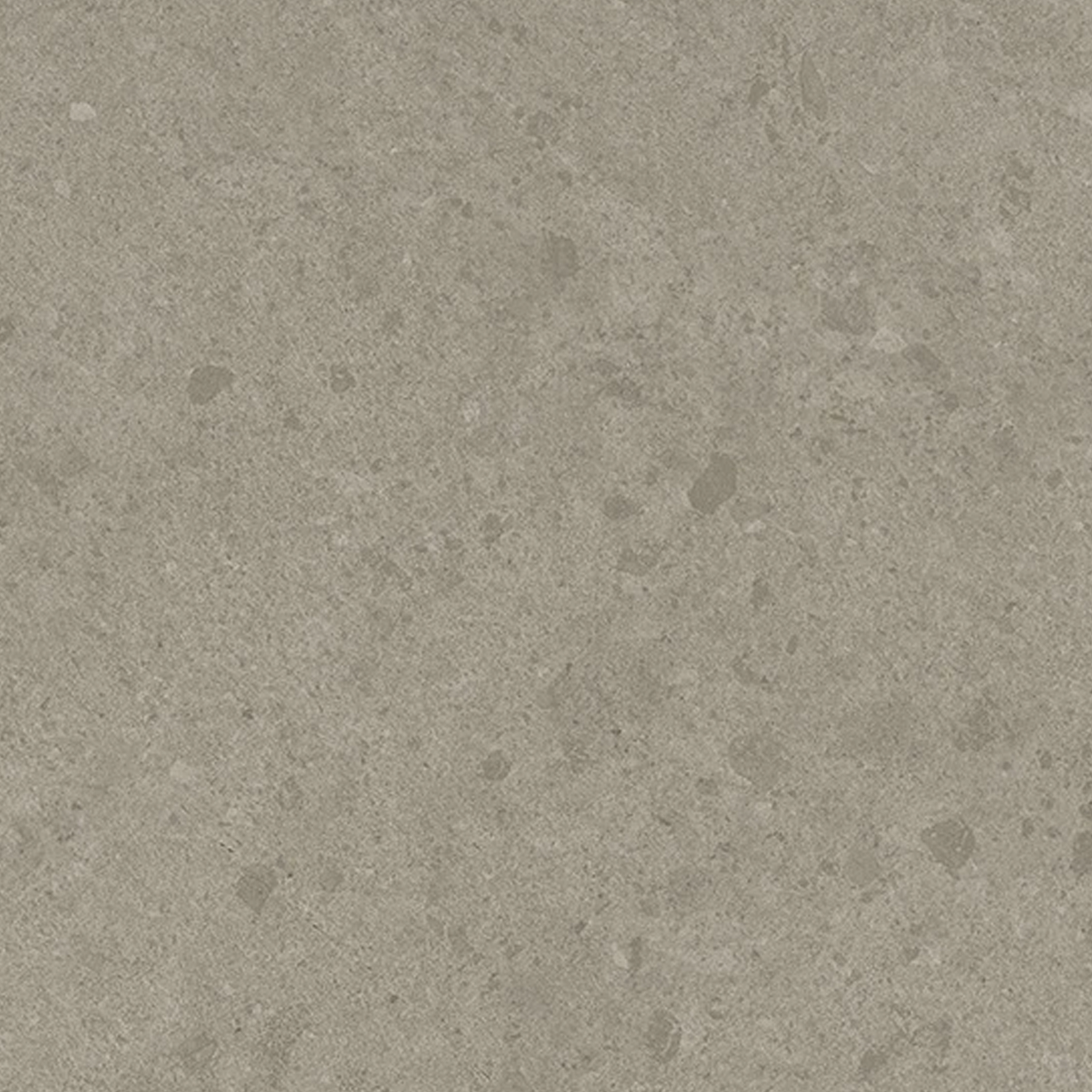 A close-up of Legacy Limestone - Harbor, showcasing its textured gray surface with various shades and subtle irregular specks, reminiscent of concrete or natural stone.