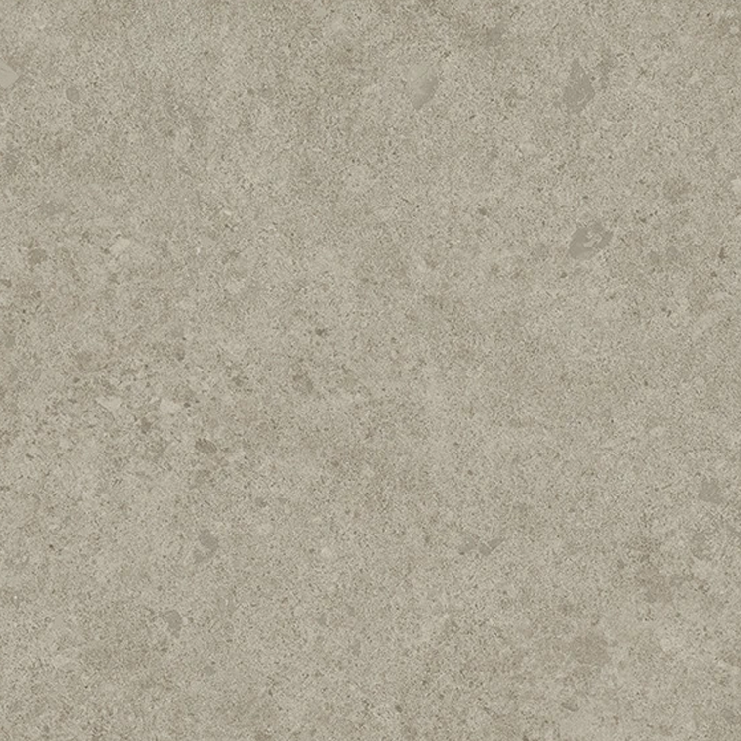 A close-up of Legacy Limestone - Silver, featuring a light gray surface with a slightly rough texture and subtle specks and color variations throughout.