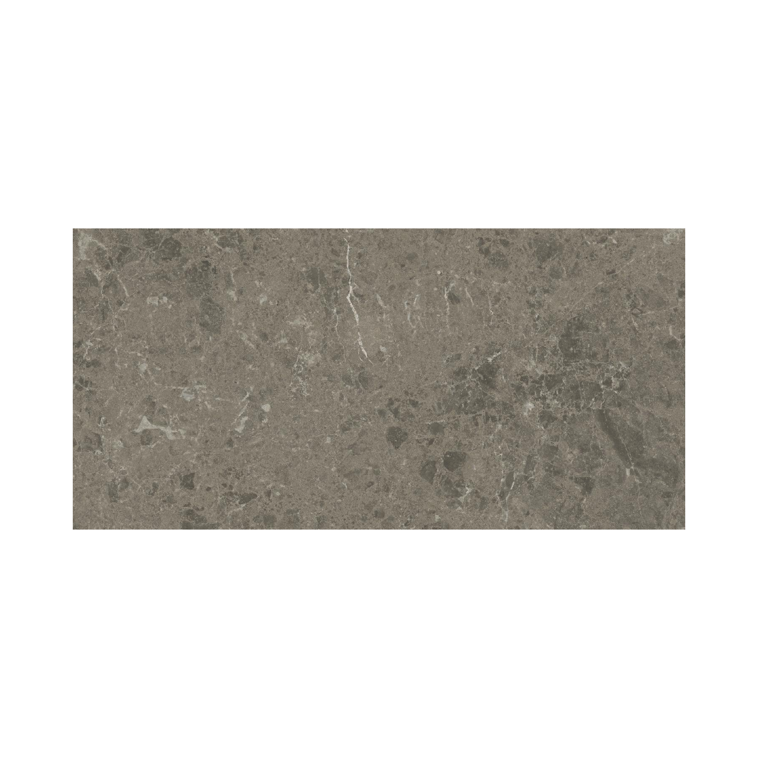 Marvel Meraviglia - Grigio Elegante is a rectangular tile in elegant gray tones, featuring subtle white and dark veining on a smooth, polished surface that gives it a refined stone-like appearance against a white background.