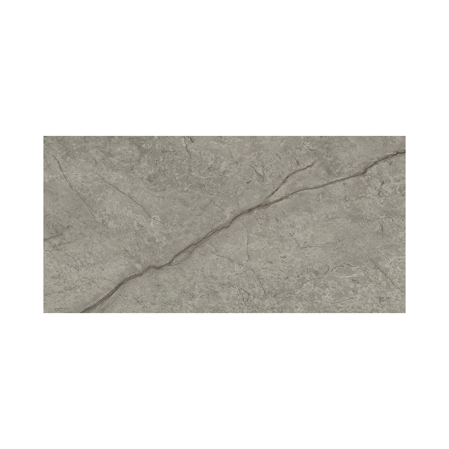 Marvel Meraviglia - Silver Majestic tile features a rectangular gray stone design with a subtly textured surface and a single diagonal vein running across, shown against a white background.