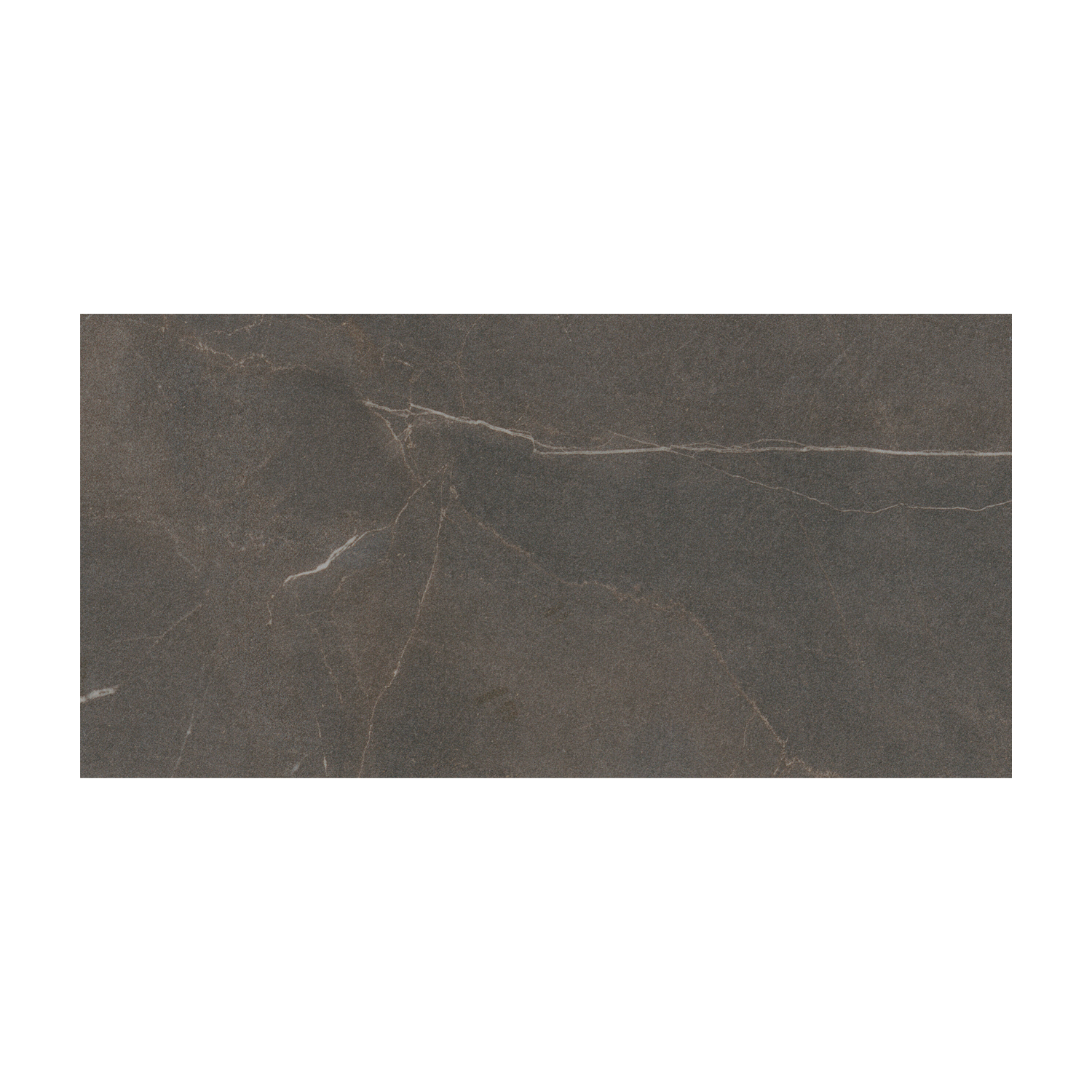 Modern Slate - Slate Taupe is a rectangular, dark gray stone tile featuring subtle white and light brown veining that creates a natural, textured marble-like look. The surface has a matte finish.