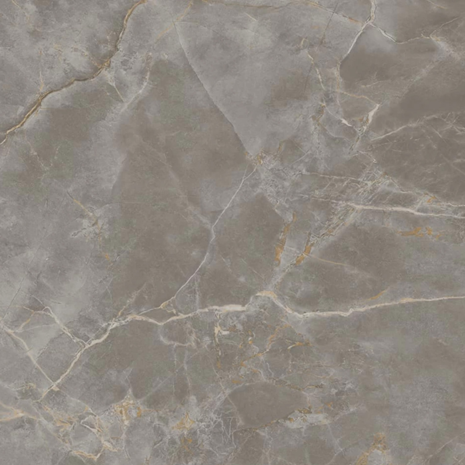 Fior Di Bosco features a gray marble surface with subtle white, gold, and greenish veins running throughout, creating a natural, textured pattern that is commonly used for flooring, countertops, or wall tiles.