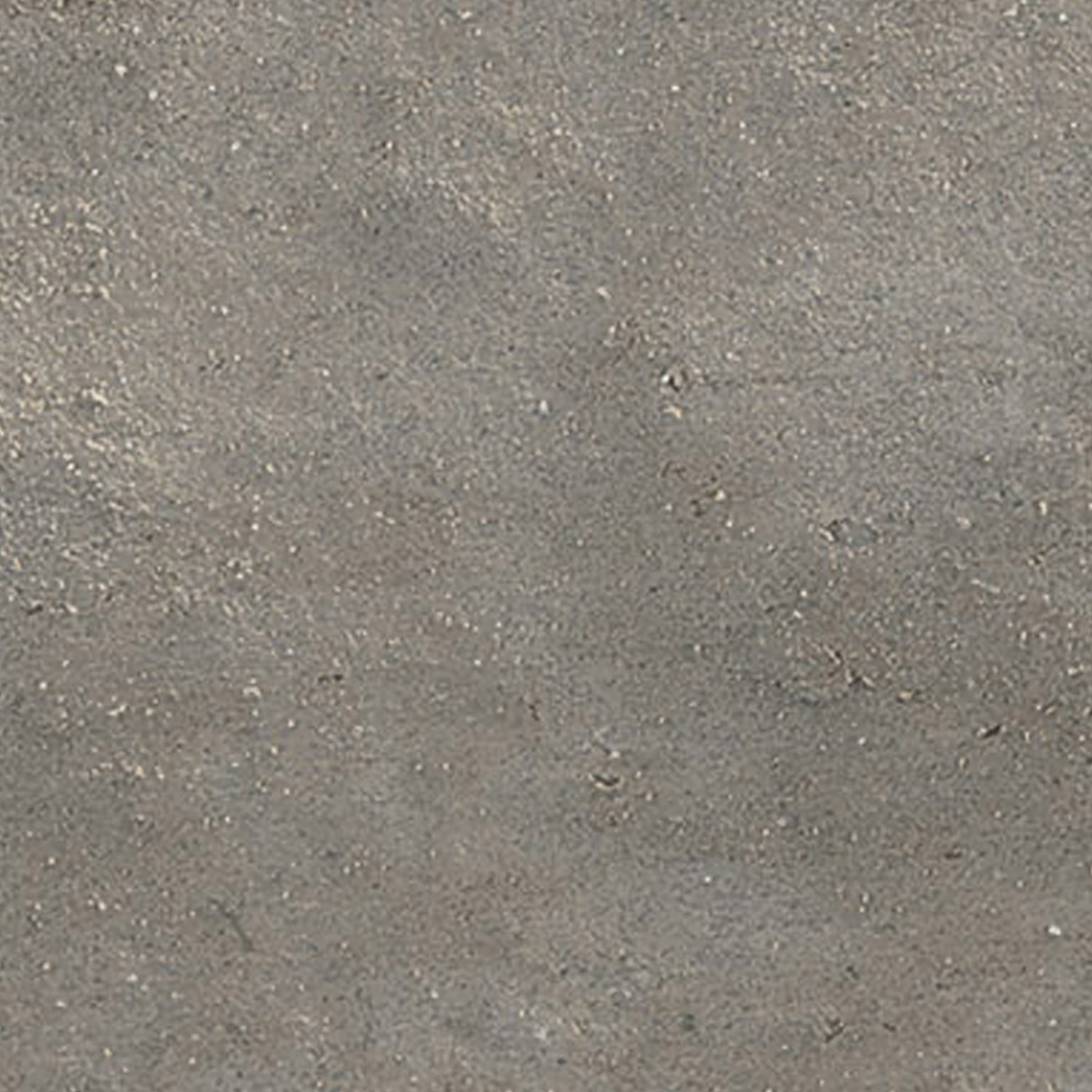 Close-up of the Tyrrhenia - Lagoon surface, featuring a rough, gray appearance with small specks and an irregular texture visible throughout.