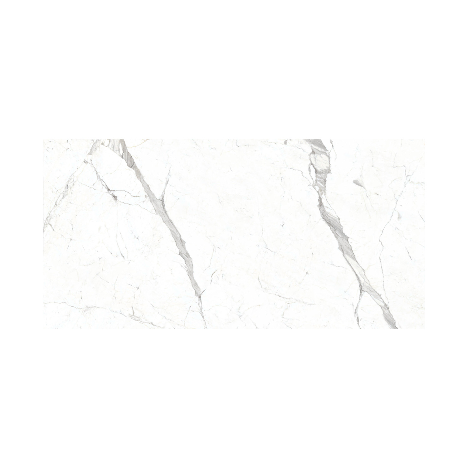 Statuarietto features a white marble slab with subtle gray veining patterns running diagonally across its surface. The bright, plain background gives this marble a clean and elegant appearance.